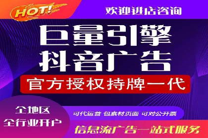 抖音信息流广告的投放策略与成功案例分析